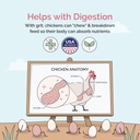mile-four-chicken-grit-for-layer-grower--5.jpg