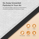 morento-4-pack-hy4866-genuine-air-purifi-6.jpg