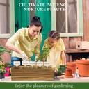 5-diy-bonsai-tree-kit-for-beginners-comp-5.jpg