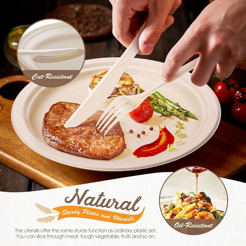 gezond-350pcs-compostable-paper-plates-s-4.jpg