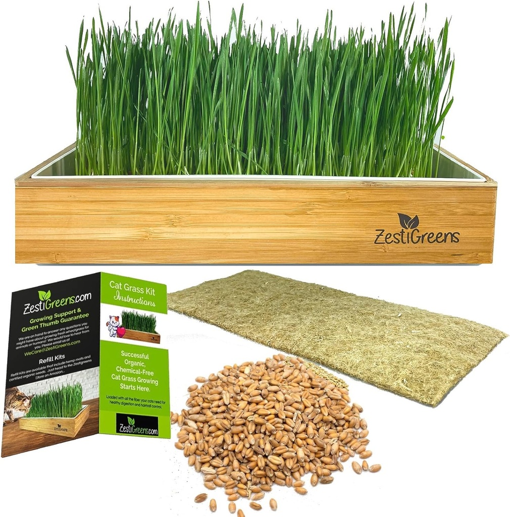 self-watering-cat-grass-kit-hands-down-t-6.jpg