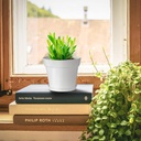 28-pack-4-inch-small-plant-pots-plastic--4.jpg