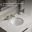 kohler-k-29000-0-caxton-undercounter-bat-5.jpg