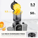 susteas-cold-press-juicer-300w-53-large--4.jpg