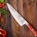 dalstrong-chef-knife---8-inch-blade---sh-5.jpg