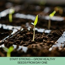 seed-starter-trays-144-cells-24-trays----3.jpg