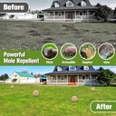 mole-repellent-for-lawns-gopher-repellen-3.jpg
