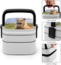 horse-laughing-stackable-bento-box-for-a-5.jpg