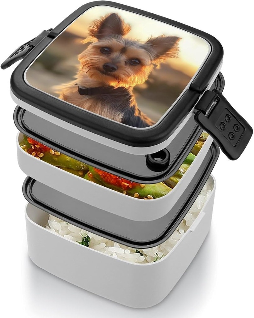 yorkshire-terrier-dog-sunset-printed-ben-4.jpg