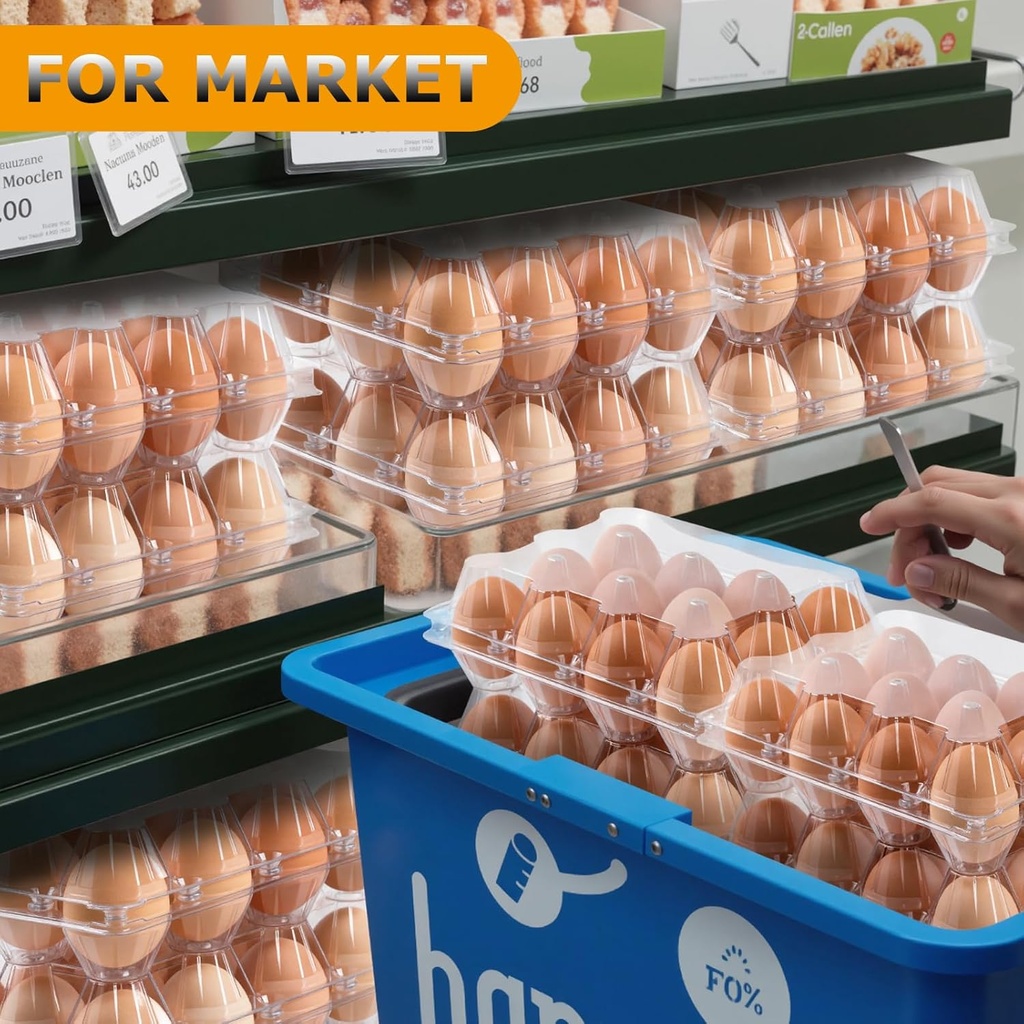 standard-plastic-egg-carton-100-pack-of--5.jpg