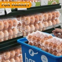 standard-plastic-egg-carton-100-pack-of--5.jpg