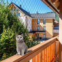 bird-netting-for-chicken-coop---50x50ft--4.jpg