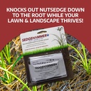 plus-turf-herbicide---1-pack-of-135-gram-2.jpg