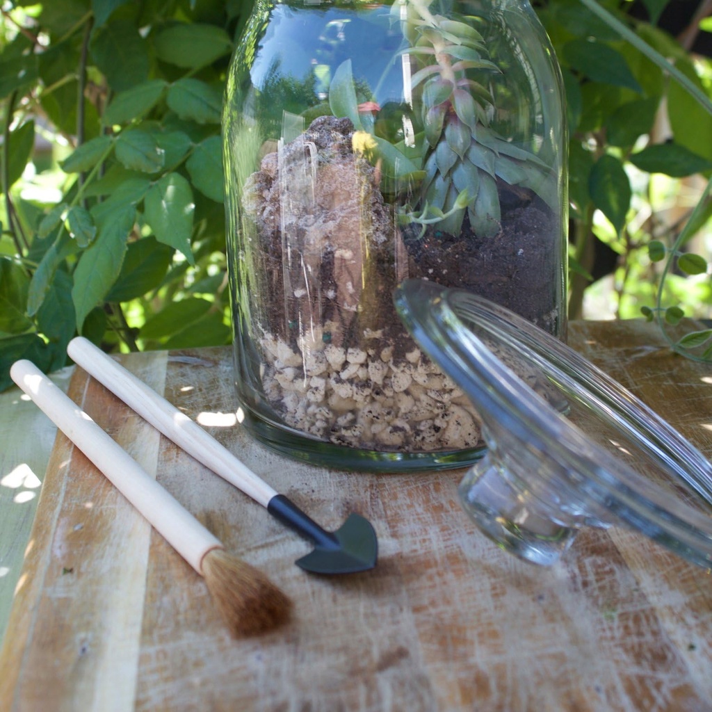 syndicate-sales-terrarium-tool-kit-4-pie-3.jpg