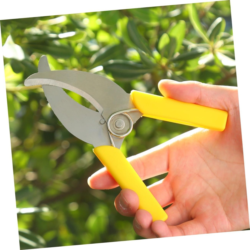 2pcs-tree-branch-clippers-fruit-tree-gir-4.jpg
