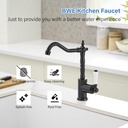 bwe-black-kitchen-sink-faucet-single-han-2.jpg