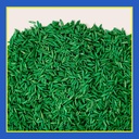 pennington-smart-seed-clover-and-grass-m-3.jpg