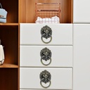 6pcs-lion-head-knob-pull-handle-for-draw-4.jpg