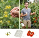 pollinator-brush-for-plantshand-pollinat-3.jpg