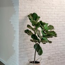 40-pcs-white-thin-brick-veneers-24-x-79--4.jpg