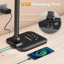 led-desk-lamp-for-office-home-height-adj-2.jpg