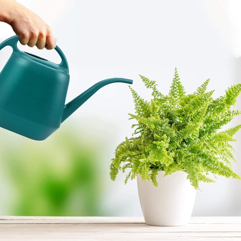 fasmov-plastic-watering-can-1-gallon-gre-6.jpg