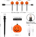 halloween-pumpkin-pathway-markers-lights-2.jpg