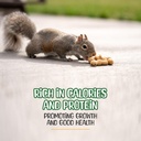 premium-quality-raw-peanuts-in-shell---1-4.jpg