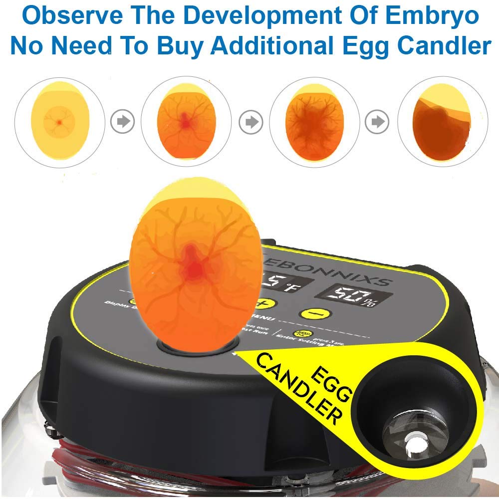12-egg-incubator-with-humidity-display-e-5.jpg