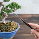 wazakura-bonsai-triangle-shaped-double-e-2.jpg