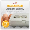 strombergs-large-blank-egg-cartons-bulk--6.jpg