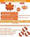 timer3-pack-30ft-fall-garland-thanksgivi-2.jpg