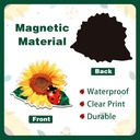 4-pairs-screen-door-magnets-ladybug-and--3.jpg