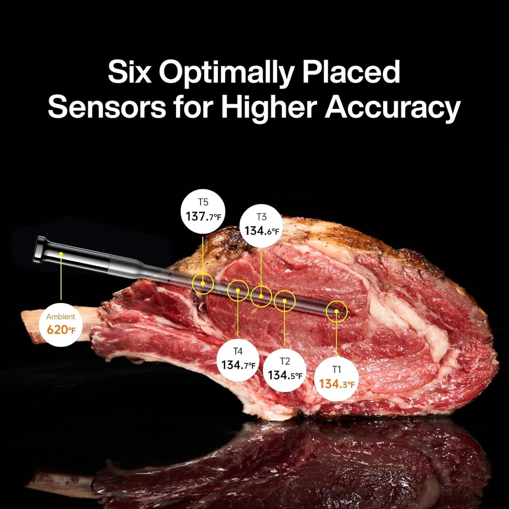 typhur-sync-gold-wireless-wifi-meat-ther-2.jpg