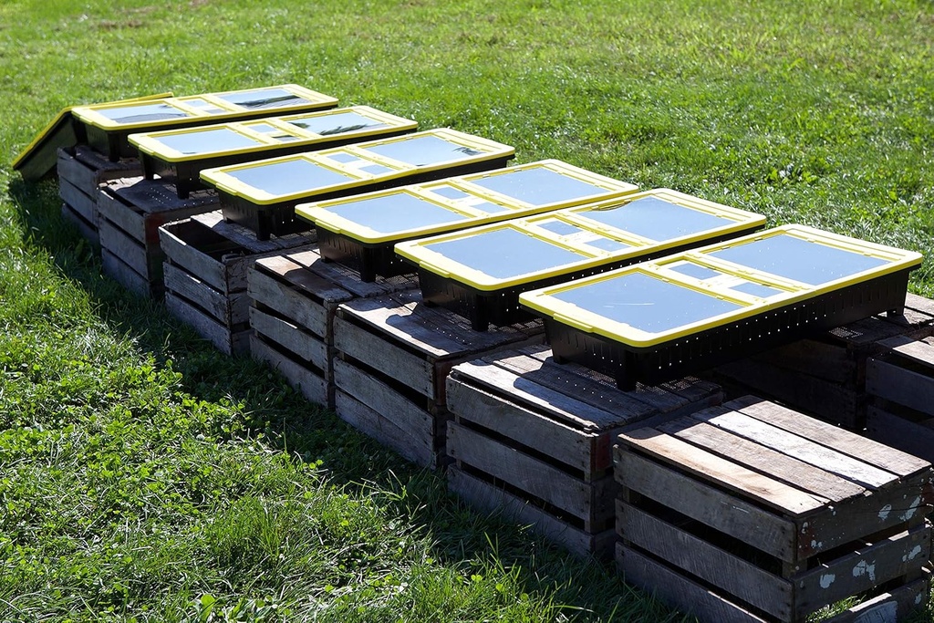 jua-technologies-solar-food-dehydrator-6.jpg