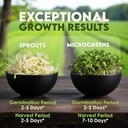 nature-jims-sprouts-organic-broccoli-see-5.jpg