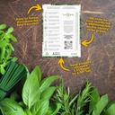 seed-needs-herb-seeds-variety-pack-culin-2.jpg