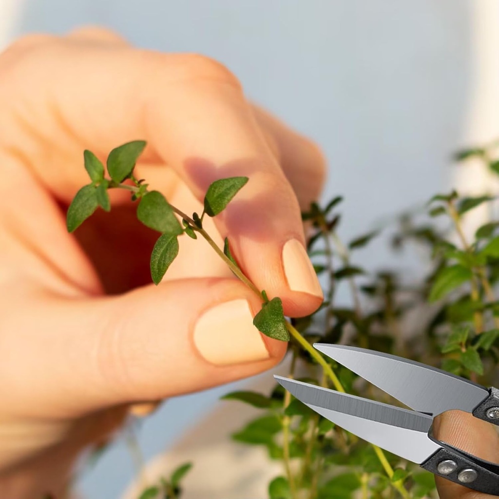 2-pcs-bonsai-pruning-scissors-for-plants-4.jpg