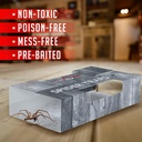 spider-traps-for-inside-your-home-16-tra-2.jpg