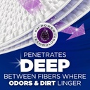 arm-hammerTM-deep-clean-odor-formula-lau-4.jpg