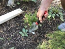 radius-garden-15202-dig-multi-purpose-to-3.jpg