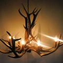12-pack-e12-candle-light-bulbs-40w-warm--5.jpg