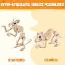 joyin-2-pcs-rats-skeleton-halloween-deco-5.jpg