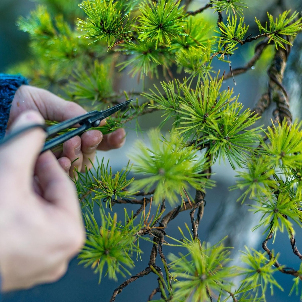 patikil-5mm-bonsai-training-wire-1-roll--5.jpg