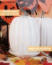 vensovo-2pcs-8-inch-white-plastic-pumpki-3.jpg