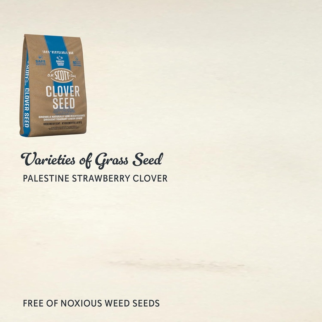 om-scott-and-sons-clover-seed-lawn-seed--2.jpg