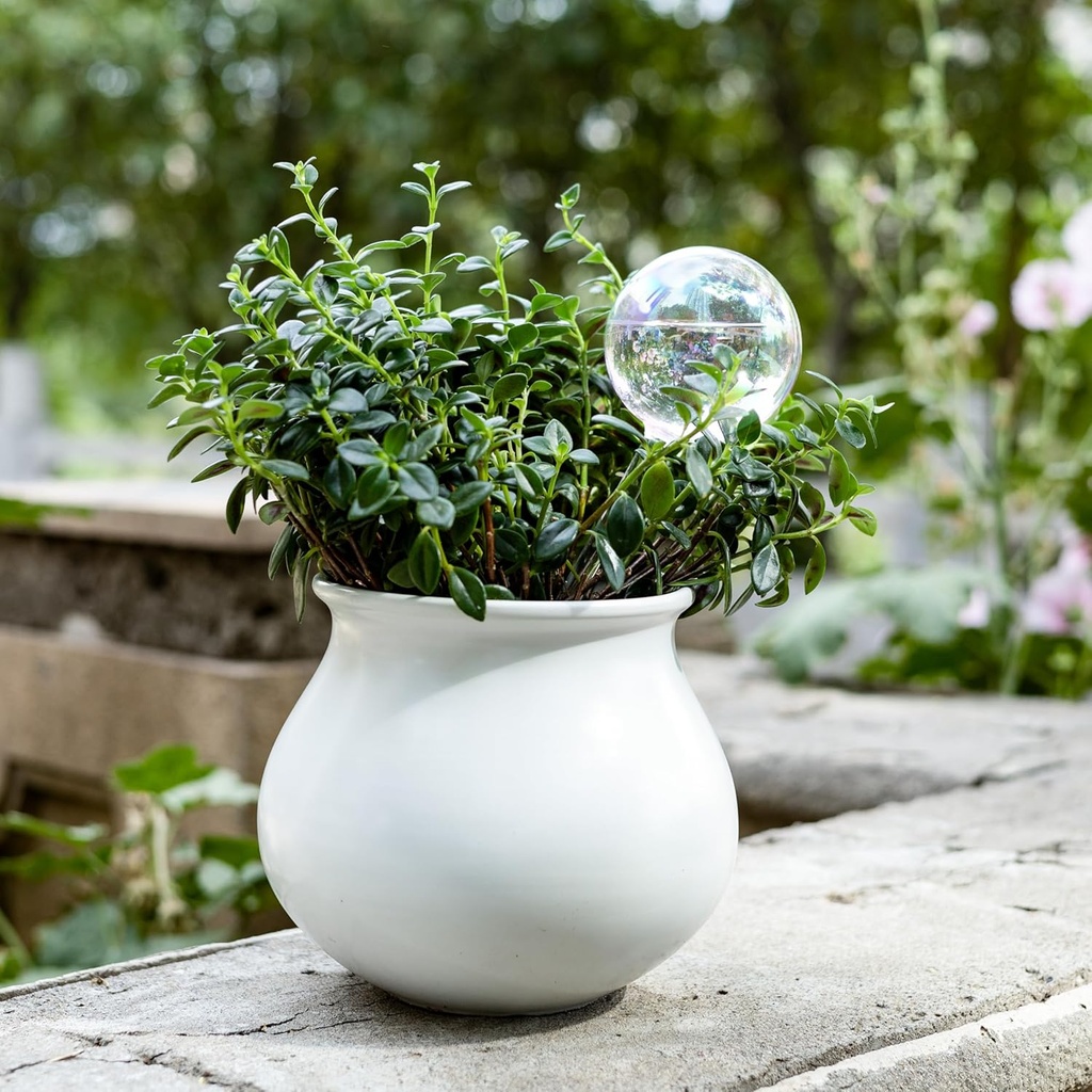 13-oz-up-2-weeks-extra-large-plant-water-2.jpg
