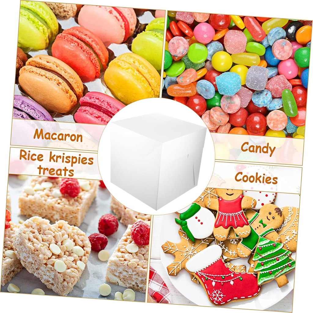cake-carrier-box-12-inch-square-cake-box-2.jpg