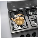 pretyzoom-electric-tea-kettle-strainer-s-5.jpg
