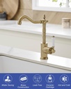 antique-brass-kitchen-sink-faucet-single-2.jpg